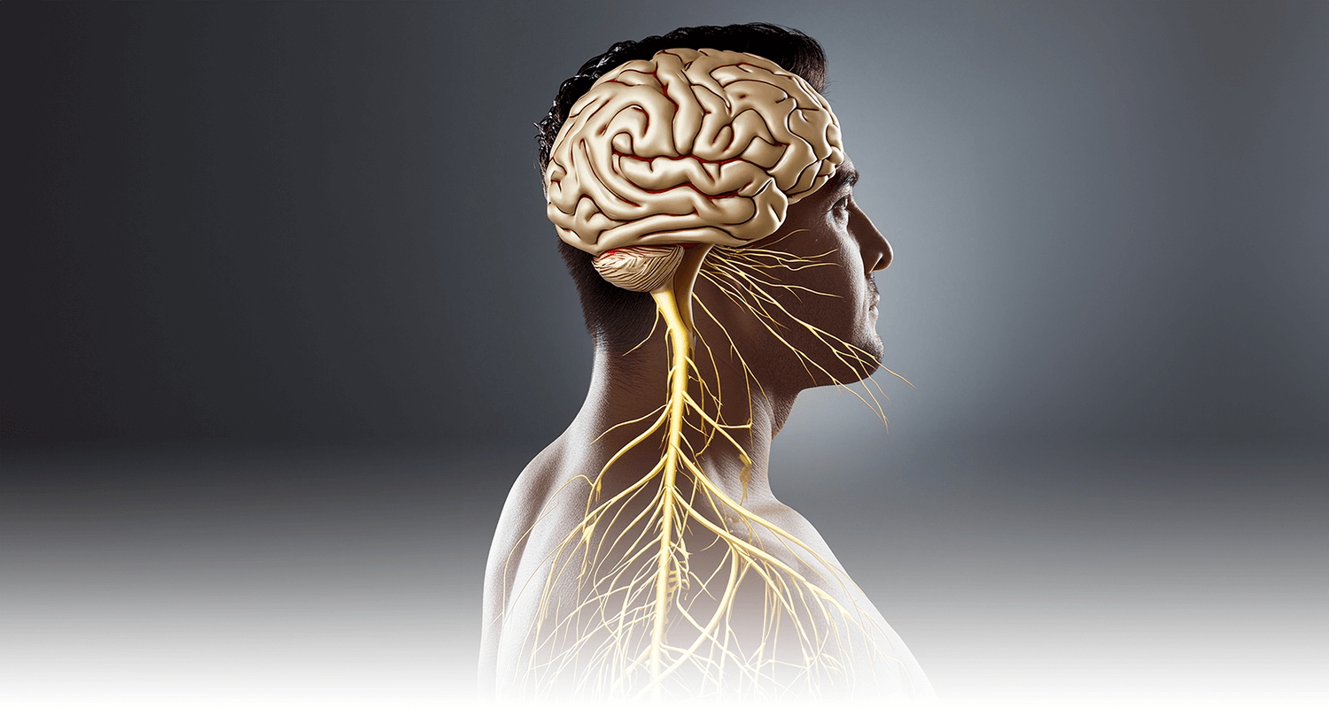 Todo lo que Necesitas Saber sobre la Esclerosis Múltiple - Somnoresp